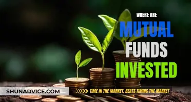 Mutual Funds: Where Are Your Investments Going?