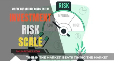 Mutual Funds: Risk Scale Placement and Investor Expectations