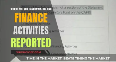 Non-Cash Investing Activities: Where Are They Reported?