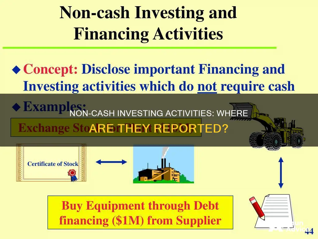 where are non cash investing and finance activities reported