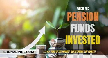 Pension Funds: Where Are Your Retirement Savings Invested?