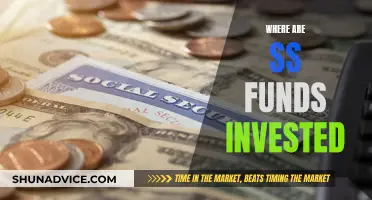 SS Funds: Where Are Your Contributions Invested?