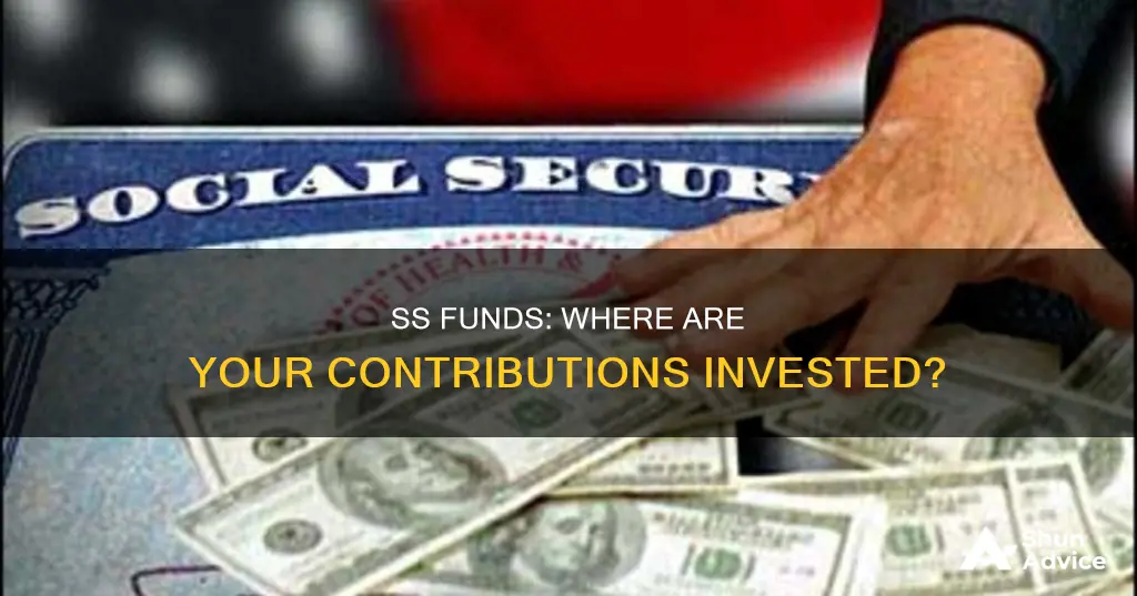 where are ss funds invested