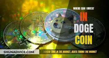 Doge Coin Investment: Where to Begin?