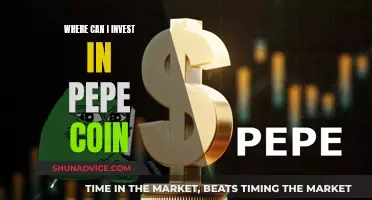 The Future of Pepe Coin: Where to Invest?