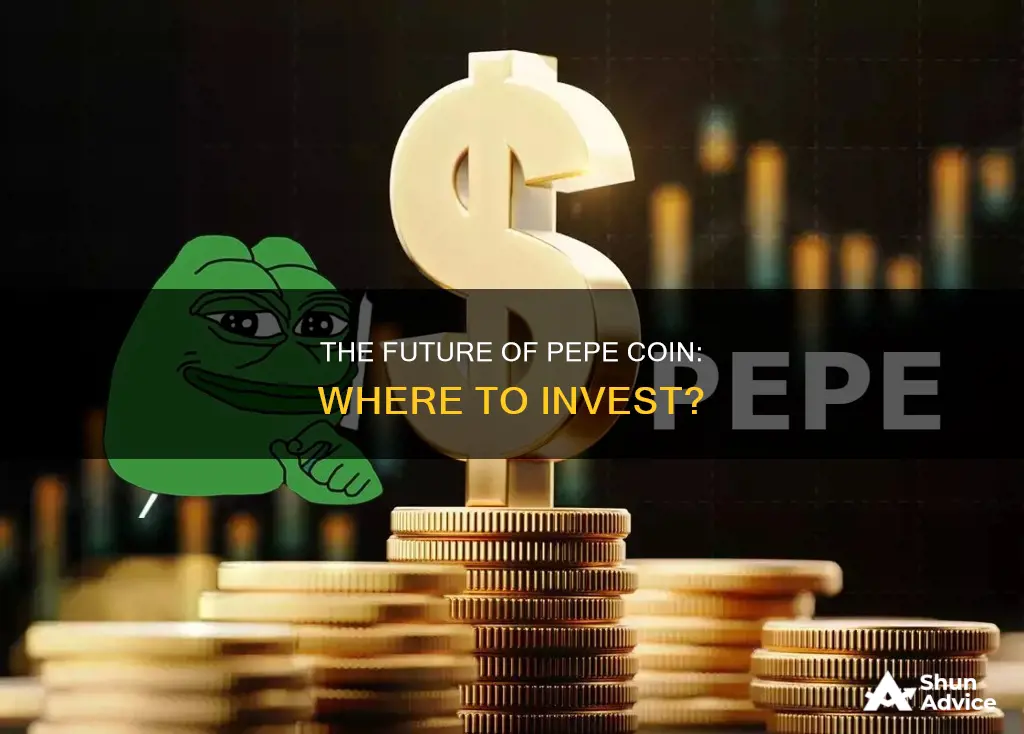 where can I invest in pepe coin