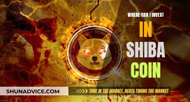 Shiba Inu Coin: Where to Invest and Why?