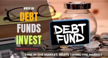 Debt Funds: Where Does Your Money Go?