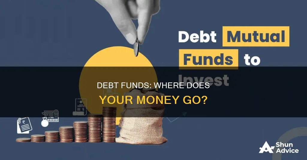 where do debt funds invest