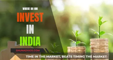 HNIs' Investment Strategies in India: Where Do They Invest?