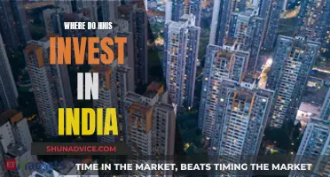 HNIs' Investment Strategies in India: Where Do They Invest?