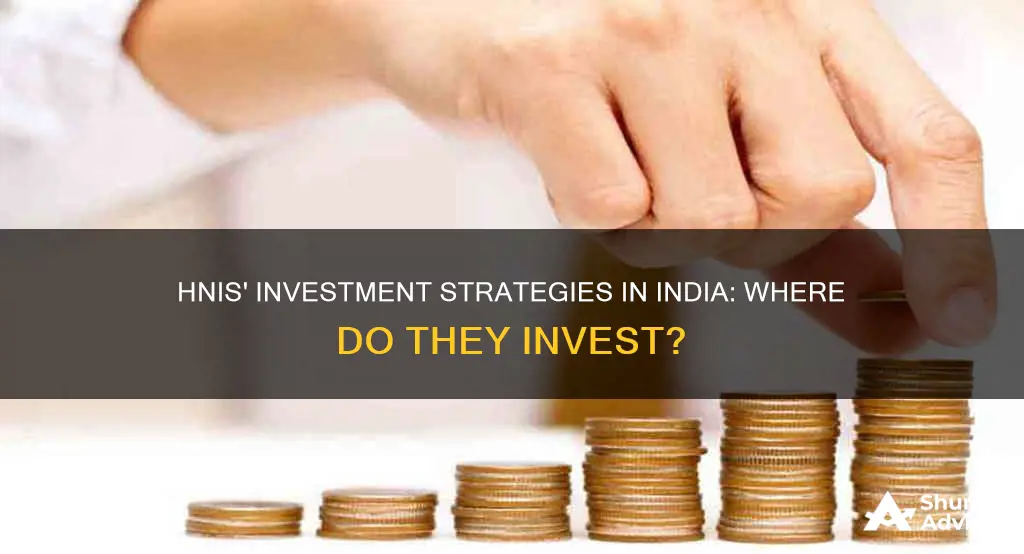 where do hnis invest in india