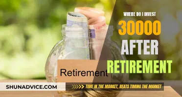 Retirement Reinvented: Exploring Post-Retirement Investment Strategies for $30,000