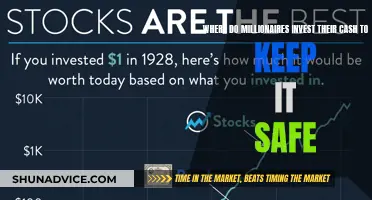 Safe Havens: Millionaires' Strategies for Securing Their Wealth