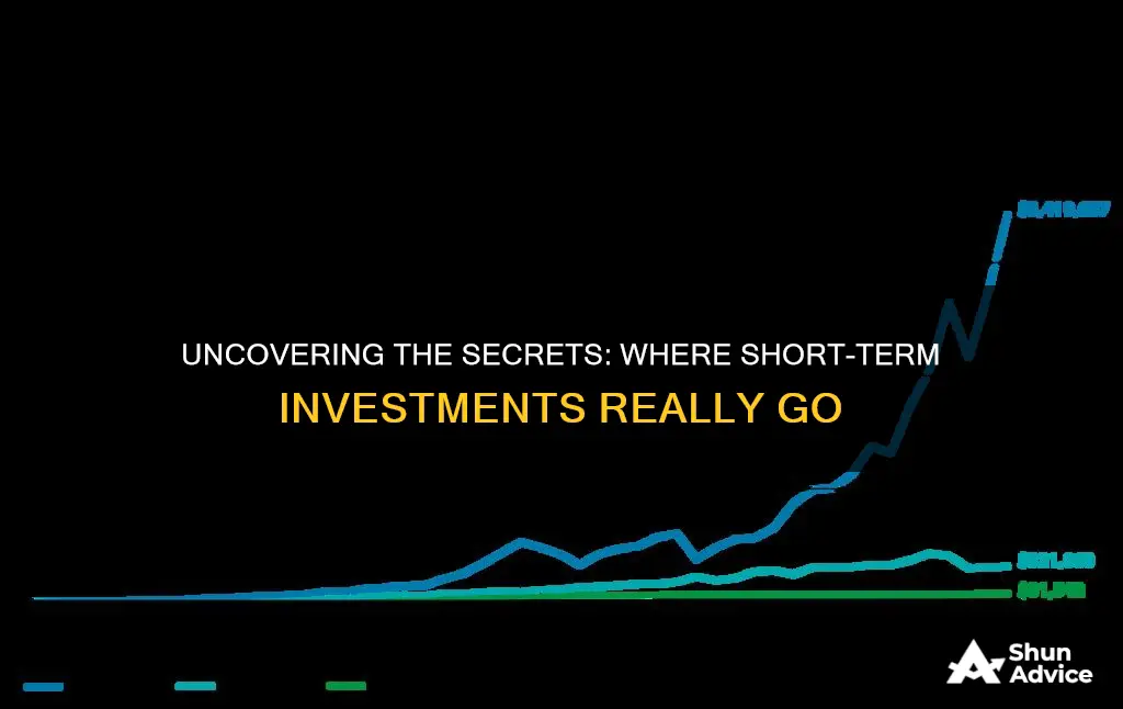 where do short term investments go