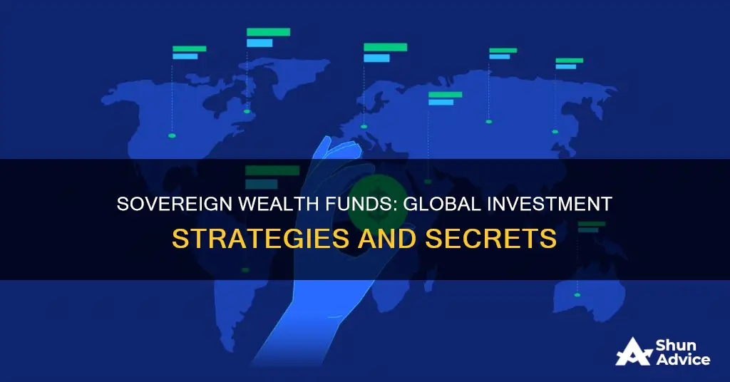 where do sovereign wealth funds invest