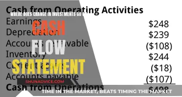 Cash Flow Statement: Understanding Investment Changes