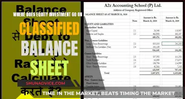 Equity Investment: Where Does It Fit on a Balance Sheet?