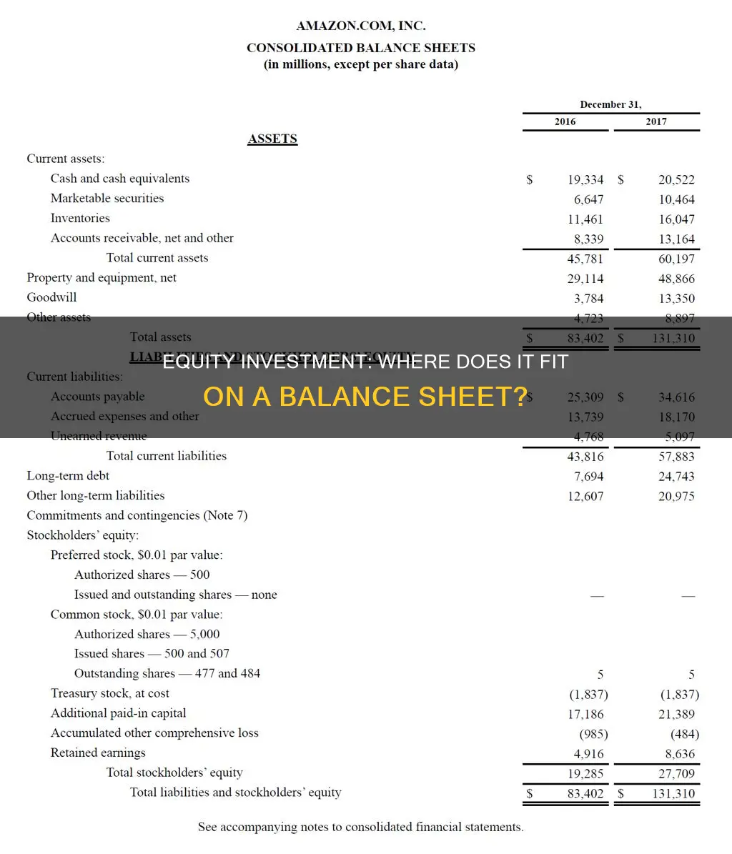 where does equity investment go on a classified balance sheet