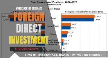 Unraveling the Origins of Foreign Direct Investment