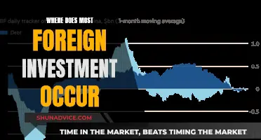 Global Investment Hotspots: Where Foreign Capital Flows