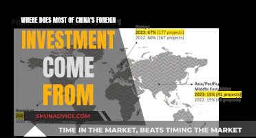 Unveiling China's Foreign Investment Sources: A Global Perspective