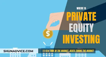 Private Equity's Next Big Investment Opportunities