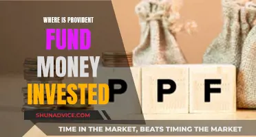 Provident Fund Money: Where is it Invested?