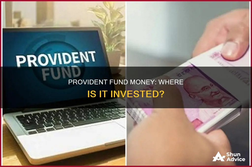 where is provident fund money invested