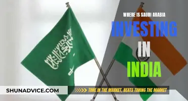 Saudi Arabia's Investment Destinations in India