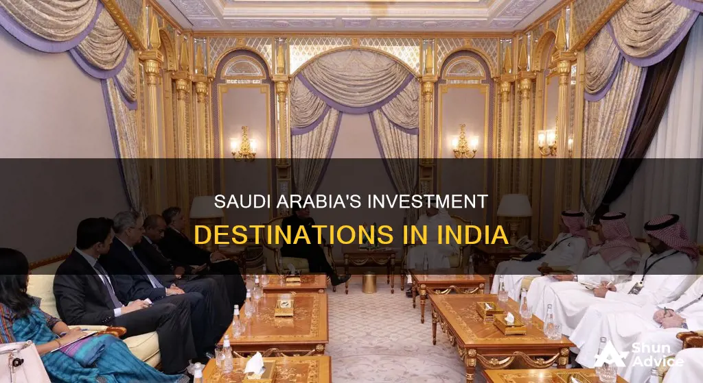 where is saudi arabia investing in india