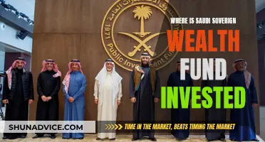 Saudi Wealth Fund: Where is it Invested?