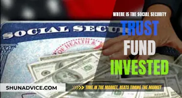 The Social Security Trust Fund: Where is it Invested?