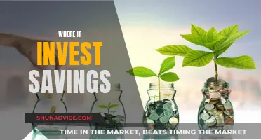 Savings Strategies: Where to Invest for Maximum Returns