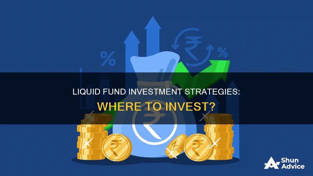 where liquid fund invest