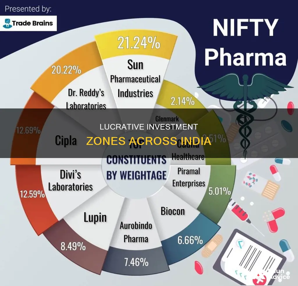 where people are investing in india