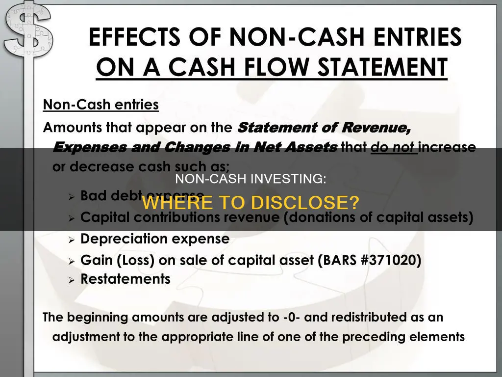 where should a non cash investing be disclosed