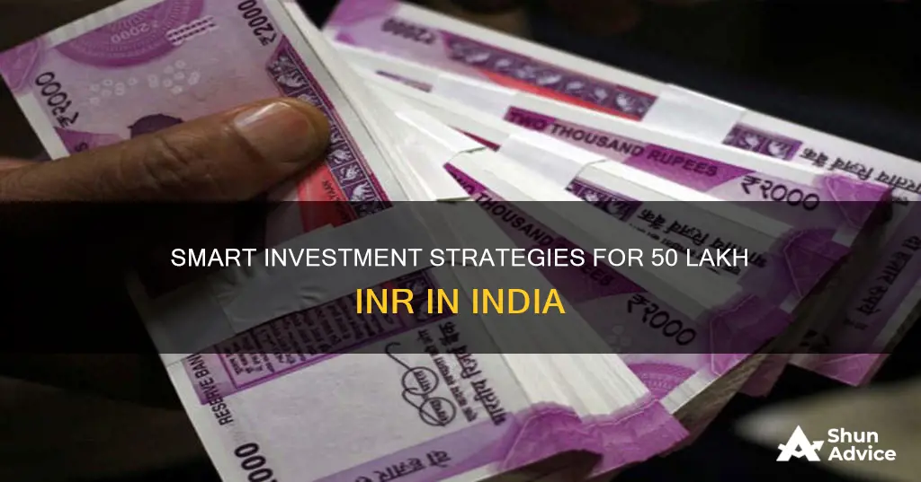 where should I invest 50 lakhs in india