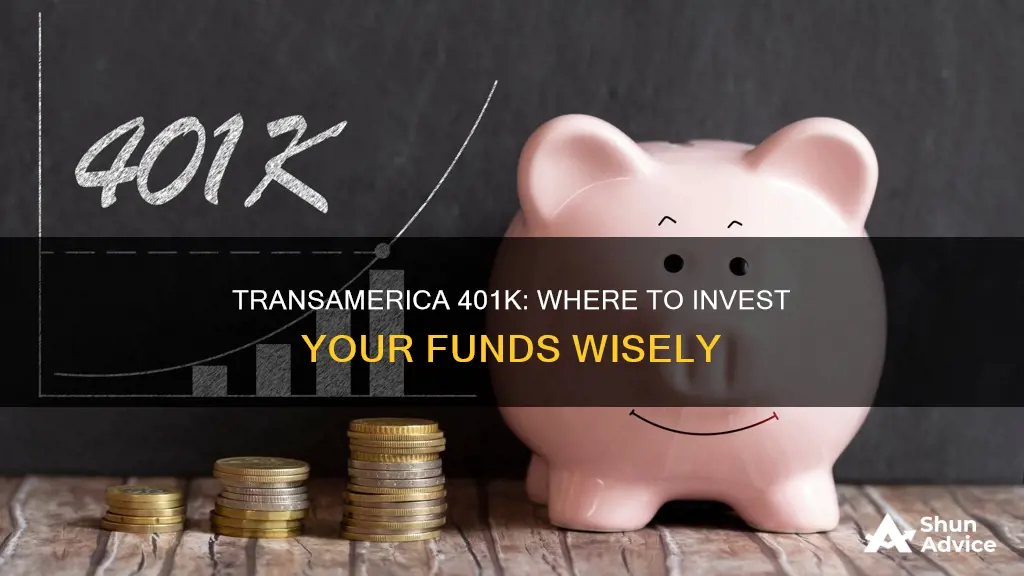 where should I invest my transamerica 401k funds