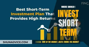 Navigating Short-Term Investments: Strategies for Quick Wins