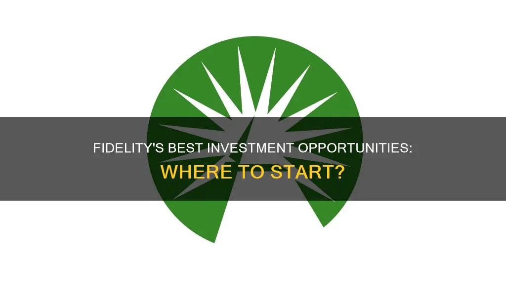 where should you invest fidelity