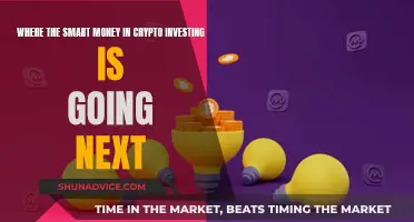 Smart Crypto Money: Where to Invest Next