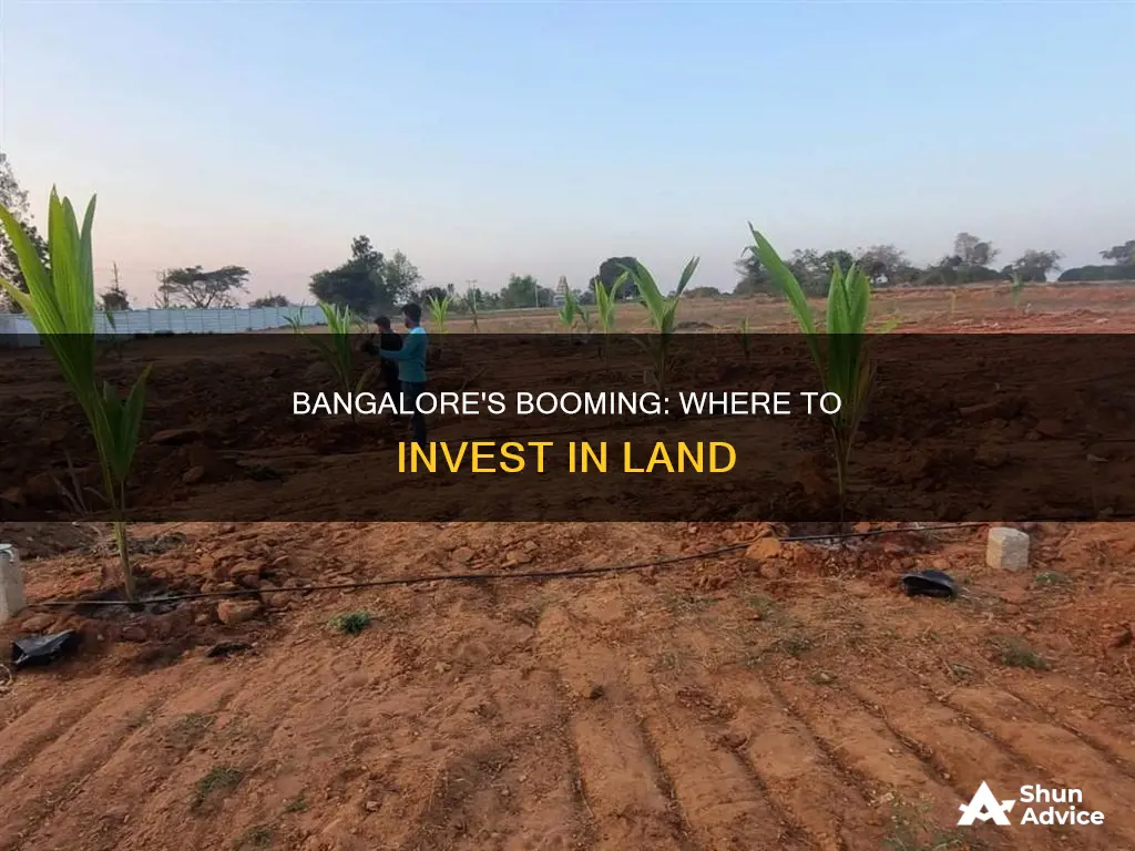 where to buy land in bangalore for investment