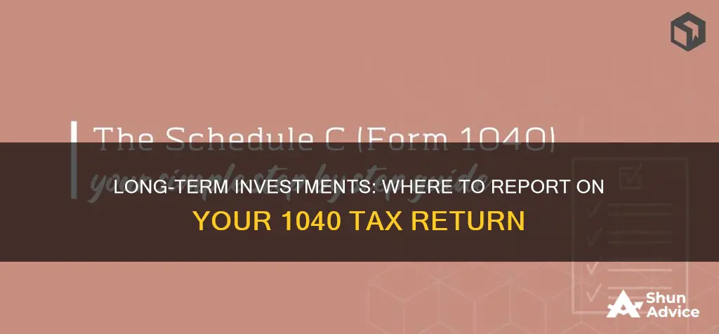 where to declare long-term investments on form 1040