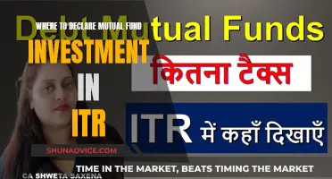 Mutual Fund Investors: Declare Investments in Your ITR