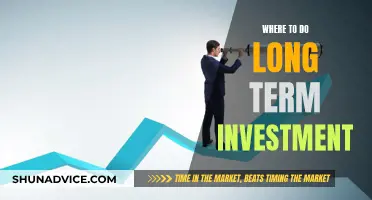 Unlocking Wealth: Top Strategies for Long-Term Investment Success