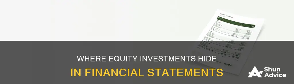 where to find invested equity in fincial statement