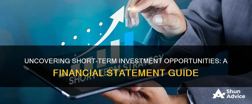 where to find short term investments on financial statements