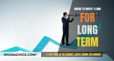 Long-Term Investment Strategies: Maximizing Returns on Your 1 Lakh