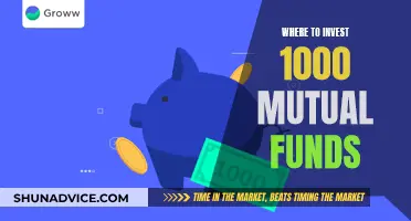 Smart Ways to Invest $1000 in Mutual Funds